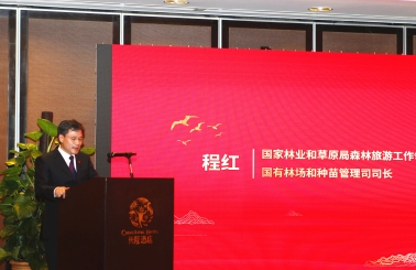 D:\党群工作\稿件\中国森旅旅游节\微信图片_201812170959003.jpg微信图片_201812170959003
